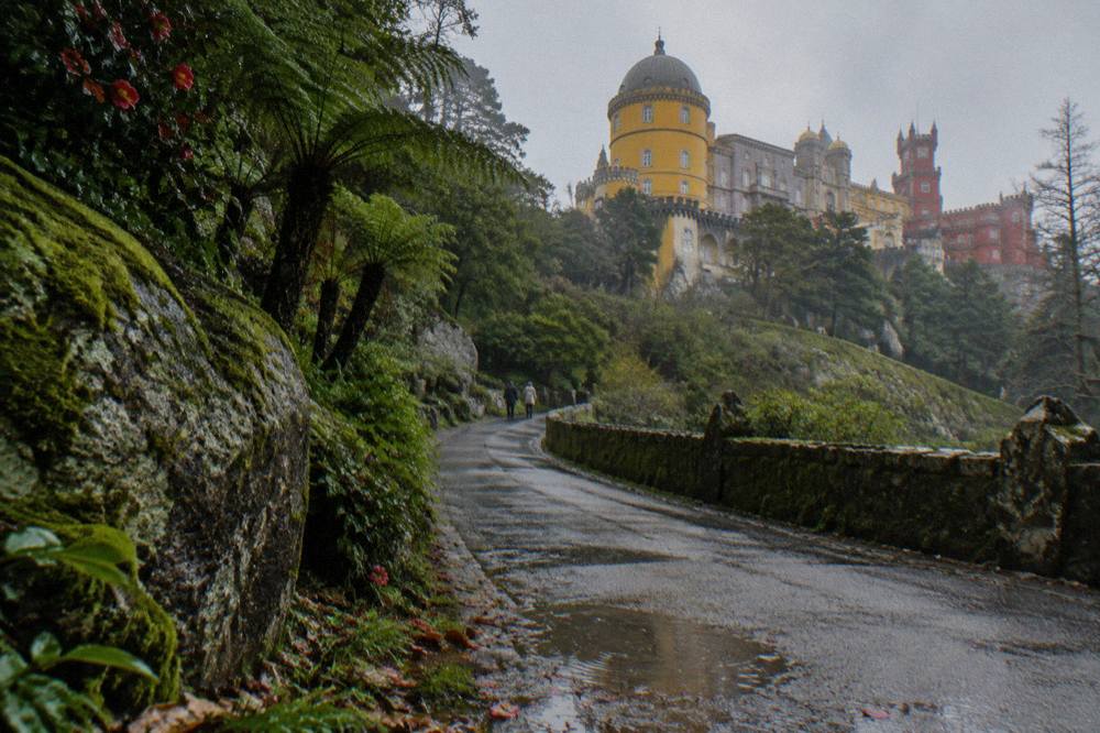 Winding forest road climbing toward a hilltop palace above Sintra
